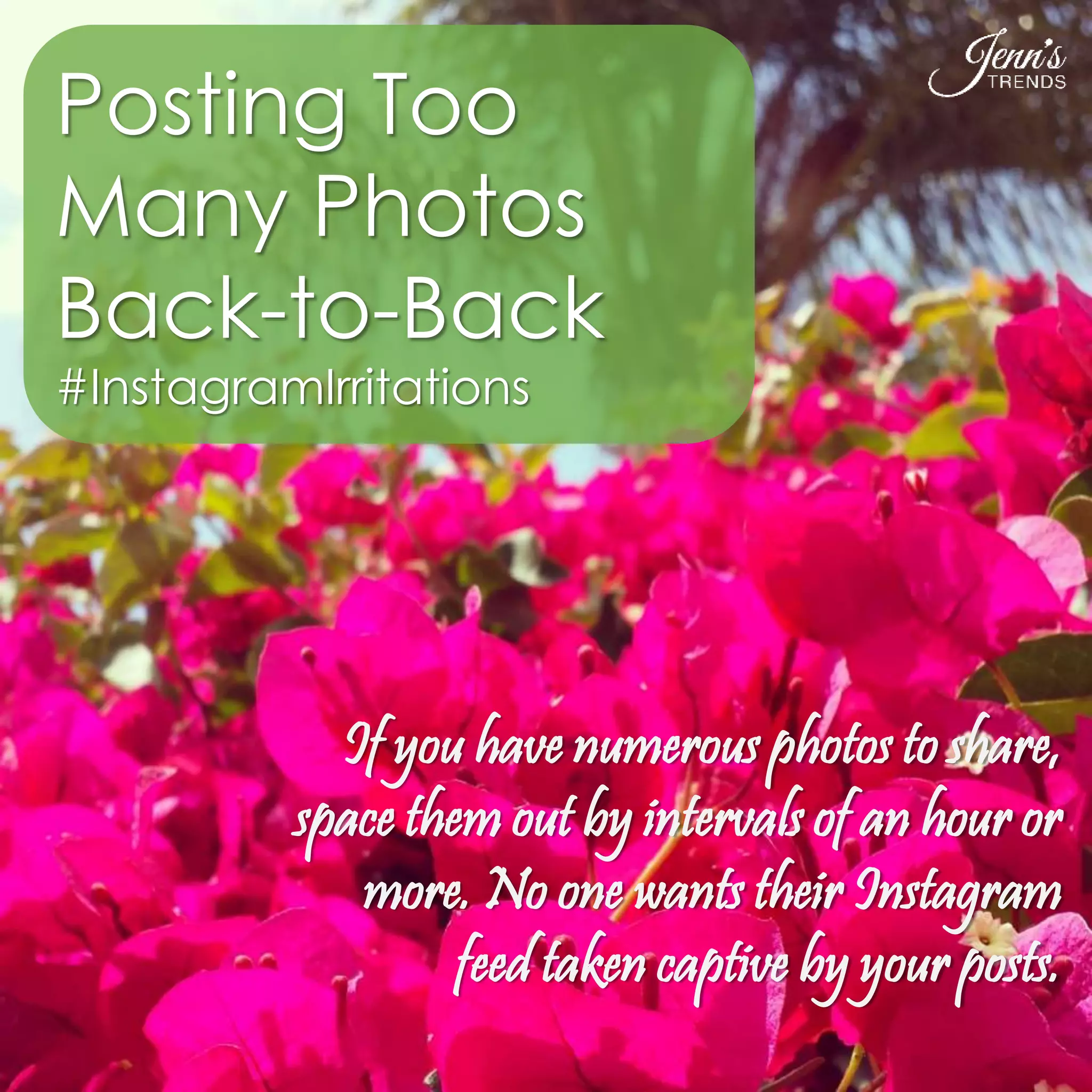 Posting Too 
Many Photos 
Back-to-Back 
#InstagramIrritations 
If you have numerous photos to share, 
space them out by intervals of an hour or 
more. No one wants their Instagram 
feed taken captive by your posts. 
 