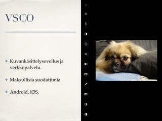 VSCO
✤ Kuvankäsittelysovellus ja
verkkopalvelu.
✤ Maksullisia suodattimia.
✤ Android, iOS.
 