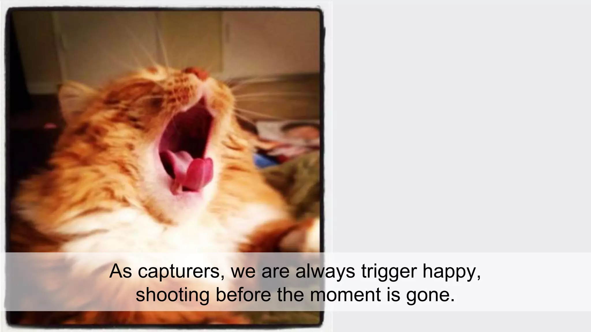 As capturers, we are always trigger happy, 
shooting before the moment is gone. 
 