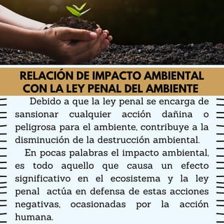 Ley Penal del Ambiente | PDF