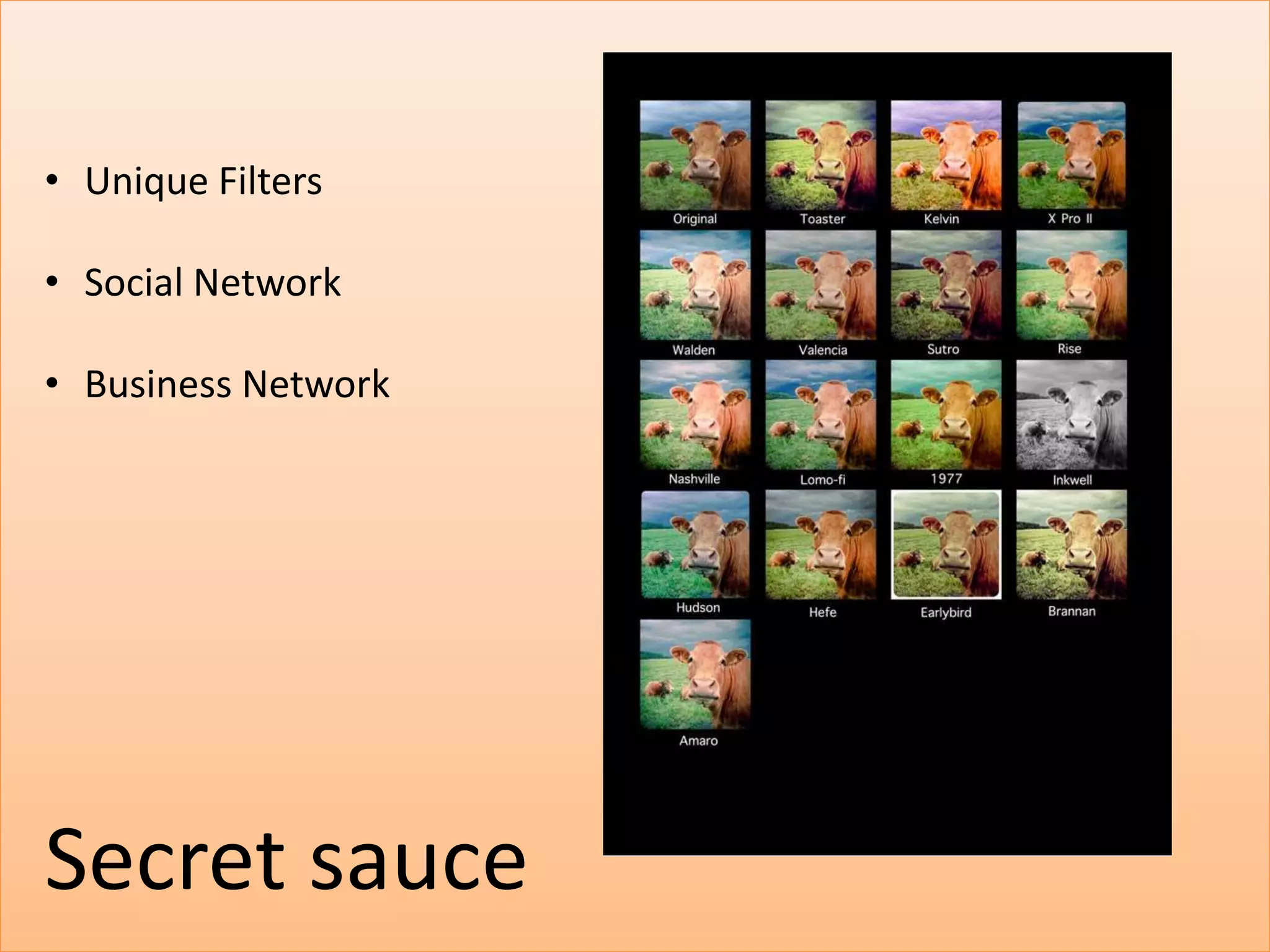 • Unique Filters

• Social Network

• Business Network




Secret sauce
 