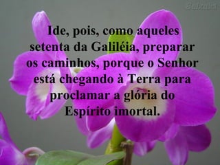 Ide, pois, como aqueles setenta da Galiléia, preparar os caminhos, porque o Senhor está chegando à Terra para proclamar a glória do Espírito imortal. 