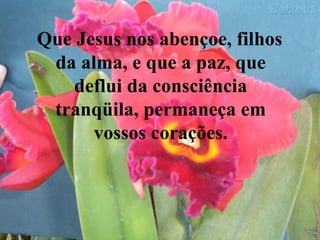 Que Jesus nos abençoe, filhos da alma, e que a paz, que deflui da consciência tranqüila, permaneça em vossos corações. 