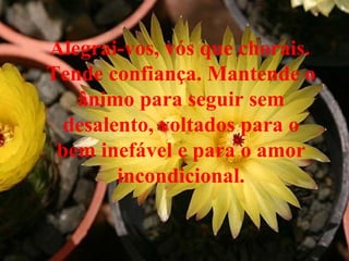Alegrai-vos, vós que chorais. Tende confiança. Mantende o ânimo para seguir sem desalento, voltados para o bem inefável e para o amor incondicional. 