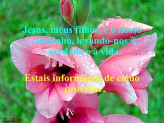 Jesus, meus filhos, é o nosso caminho, levando-nos à verdade e à vida. Estais informados de como proceder. 
