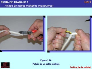FICHA DE TRABAJO 1 Pelado de cables múltiples (mangueras) Ud.1 Figura 1.24. Pelado de un cable múltiple Índice de la unidad 