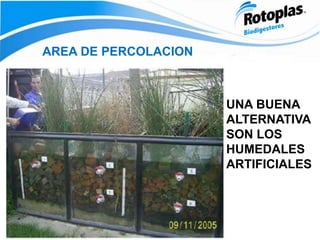 AREA DE PERCOLACION
UNA BUENA
ALTERNATIVA
SON LOS
HUMEDALES
ARTIFICIALES
 