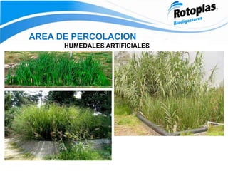 AREA DE PERCOLACION
HUMEDALES ARTIFICIALES
 