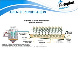 AREA DE PERCOLACION
 