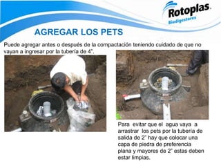 Puede agregar antes o después de la compactación teniendo cuidado de que no
vayan a ingresar por la tubería de 4”.
AGREGAR LOS PETS
Para evitar que el agua vaya a
arrastrar los pets por la tubería de
salida de 2” hay que colocar una
capa de piedra de preferencia
plana y mayores de 2” estas deben
estar limpias.
 
