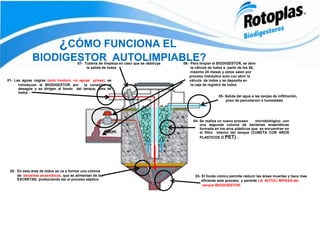 ¿CÓMO FUNCIONA EL
BIODIGESTOR AUTOLIMPIABLE?
01- Las aguas negras (solo inodoro, no aguas grises), se
introducen al BIODIGESTOR por la conexión al
desagüe y se dirigen al fondo del tanque, área de
lodos .
02- En esta área de lodos se va a formar una colonia
de bacterias anaeróbicas, que se alimentan de las
EXCRETAS, produciendo así el proceso séptico.
03- El fondo cónico permite reducir las áreas muertas y hace mas
eficiente este proceso y permite LA AUTOLI MPIEZA del
tanque BIODIGESTOR.
04- Se realiza un nuevo proceso microbiológico con
una segunda colonia de bacterias anaeróbicas
formada en los aros plásticos que se encuentran en
el filtro interno del tanque (CUBETA CON AROS
PLASTICOS Ó PET) .
06- Para limpiar el BIODIGESTOR, se abre
la válvula de lodos a partir de los 06,
máximo 24 meses y estos salen por
proceso hidráulico solo con abrir la
válvula de lodos y se deposita en
la caja de registro de lodos
05- Salida del agua a las zanjas de infiltración,
pozo de percolacion o humedales
07- Tubería de limpieza en caso que se obstruya
la salida de lodos
 