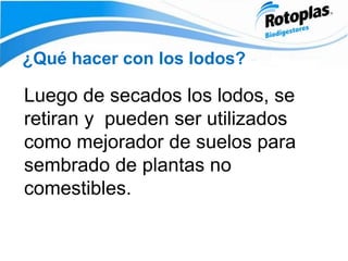 ¿Qué hacer con los lodos?
Luego de secados los lodos, se
retiran y pueden ser utilizados
como mejorador de suelos para
sembrado de plantas no
comestibles.
 