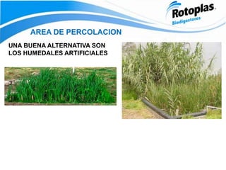 AREA DE PERCOLACION
UNA BUENA ALTERNATIVA SON
LOS HUMEDALES ARTIFICIALES
 