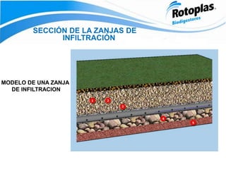 SECCIÓN DE LA ZANJAS DE
INFILTRACIÓN
MODELO DE UNA ZANJA
DE INFILTRACION
 