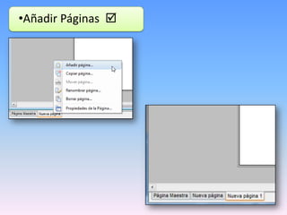 •Añadir Páginas 

 