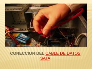 CONECCION DEL CABLE DE DATOS 
SATA 
 