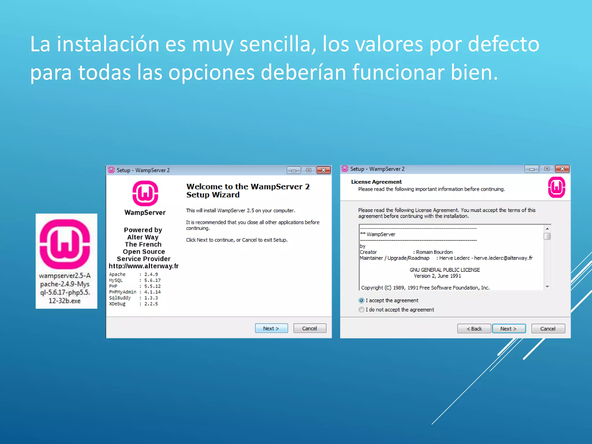 La instalación es muy sencilla, los valores por defecto
para todas las opciones deberían funcionar bien.
 