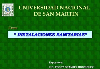 UNIVERSIDAD NACIONAL
DE SAN MARTIN
Curso
Expositora:
ING. PEGGY GRANDEZ RODRIGUEZ
“ INSTALACIONES SANITARIAS”
 