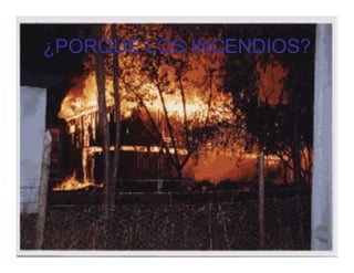 ¿PORQUE LOS INCENDIOS?
 