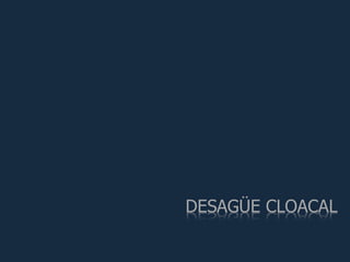 DESAGÜE CLOACAL
 