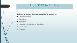 EQUIPO PARA POLLOS
Sin importar cual sea el tipo de explotación se requiere de:
 Galpón o encierro.
 Comederos.
 Bebederos.
 Nidales en caso de gallinas ponedoras.
 Ventiladores.
 Criadoras.
 