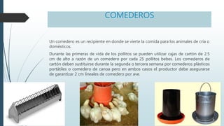 COMEDEROS
Un comedero es un recipiente en donde se vierte la comida para los animales de cría o
domésticos.
Durante las primeras de vida de los pollitos se pueden utilizar cajas de cartón de 2.5
cm de alto a razón de un comedero por cada 25 pollitos bebes. Los comederos de
cartón deben sustituirse durante la segunda o tercera semana por comederos plásticos
portátiles o comedero de canoa pero en ambos casos el productor debe asegurarse
de garantizar 2 cm lineales de comedero por ave.
 