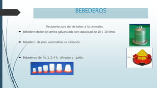 BEBEDEROS
Recipiente para dar de beber a los animales.
 Bebedero doble de lamina galvanizada con capacidad de 10 y 20 litros.
 Bebedero de piso automático de iniciación.
 Bebederos de ½, 1, 2, 4 lt. olímpico y galón.
 