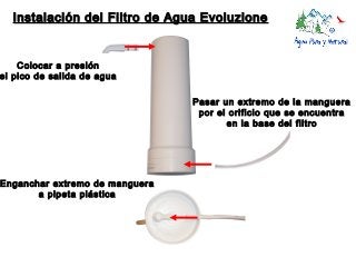 Instalación del Filtro de Agua Evoluzione

Colocar a presión
el pico de salida de agua
Pasar un extremo de la manguera
por el orificio que se encuentra
en la base del filtro

Enganchar extremo de manguera
a pipeta plástica

 