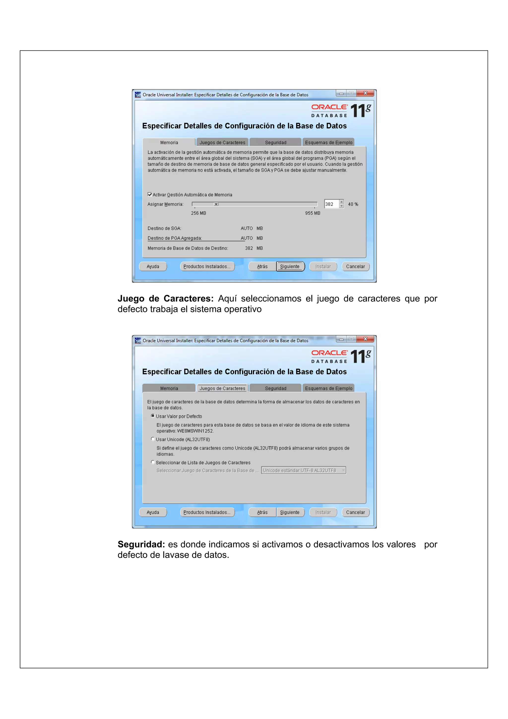 Juego de Caracteres: Aquí seleccionamos el juego de caracteres que por
defecto trabaja el sistema operativo




Seguridad: es donde indicamos si activamos o desactivamos los valores por
defecto de lavase de datos.
 