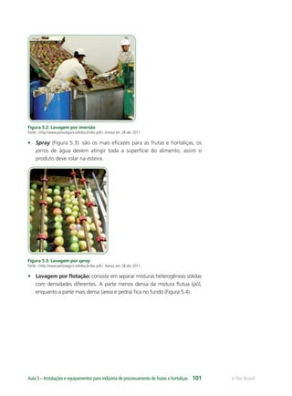 e-Tec BrasilAula 5 – Instalações e equipamentos para indústria de processamento de frutas e hortaliças 101
Figura 5.2: Lavagem por imersão
Fonte: <http://www.portoseguro.cefetba.br/doc.pdf>.Acesso em: 28 abr. 2011.
• Spray (Figura 5.3): são os mais eﬁcazes para as frutas e hortaliças; os
jorros de água devem atingir toda a superfície do alimento, assim o
produto deve rolar na esteira.
Figura 5.3: Lavagem por spray
Fonte: <http://www.portoseguro.cefetba.br/doc.pdf>.Acesso em: 28 abr. 2011.
• Lavagem por ﬂotação: consiste em separar misturas heterogêneas sólidas
com densidades diferentes. A parte menos densa da mistura ﬂutua (pó),
enquanto a parte mais densa (areia e pedra) ﬁca no fundo (Figura 5.4).
 
