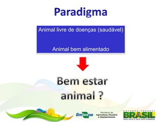 Animal livre de doenças (saudável)
Animal bem alimentado
 