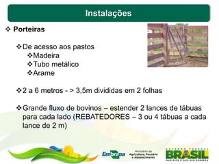 Instalações
 Porteiras
De acesso aos pastos
Madeira
Tubo metálico
Arame
2 a 6 metros - > 3,5m divididas em 2 folhas
Grande fluxo de bovinos – estender 2 lances de tábuas
para cada lado (REBATEDORES – 3 ou 4 tábuas a cada
lance de 2 m)
 