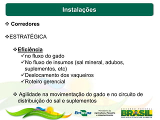 Instalações
 Corredores
ESTRATÉGICA
Eficiência
no fluxo do gado
No fluxo de insumos (sal mineral, adubos,
suplementos, etc)
Deslocamento dos vaqueiros
Roteiro gerencial
 Agilidade na movimentação do gado e no circuito de
distribuição do sal e suplementos
 