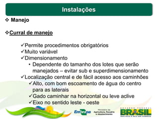 Instalações
 Manejo
Curral de manejo
Permite procedimentos obrigatórios
Muito variável
Dimensionamento
• Dependente do tamanho dos lotes que serão
manejados – evitar sub e superdimensionamento
Localização central e de fácil acesso aos caminhões
Alto, com bom escoamento de água do centro
para as laterais
Gado caminhar na horizontal ou leve aclive
Eixo no sentido leste - oeste
 