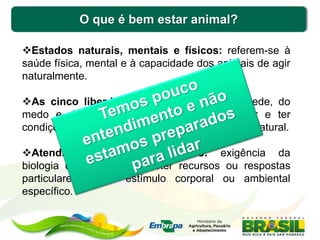 O que é bem estar animal?
Estados naturais, mentais e físicos: referem-se à
saúde física, mental e à capacidade dos animais de agir
naturalmente.
As cinco liberdades: livre de fome e de sede, do
medo e da angústia, do desconforto, da dor e ter
condições para expressar o seu comportamento natural.
Atendimento às necessidades: exigência da
biologia do animal para obter recursos ou respostas
particulares a um estímulo corporal ou ambiental
específico.
 