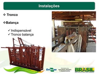 Instalações
 Tronco
Balança
 Indispensável
 Tronco balança
 