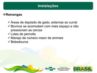 Instalações
Remangas
 Áreas de depósito de gado, externas ao curral
 Bovinos se acomodam com mais espaço e não
pressionam as cercas
 Lotes de pernoite
 Manejo de número maior de animais
 Bebedouros
 