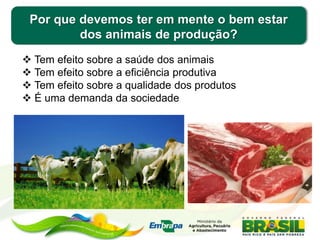 Por que devemos ter em mente o bem estar
dos animais de produção?
 Tem efeito sobre a saúde dos animais
 Tem efeito sobre a eficiência produtiva
 Tem efeito sobre a qualidade dos produtos
 É uma demanda da sociedade
 