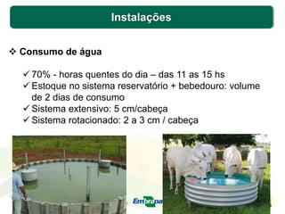 Instalações
 Consumo de água
 70% - horas quentes do dia – das 11 as 15 hs
 Estoque no sistema reservatório + bebedouro: volume
de 2 dias de consumo
 Sistema extensivo: 5 cm/cabeça
 Sistema rotacionado: 2 a 3 cm / cabeça
 