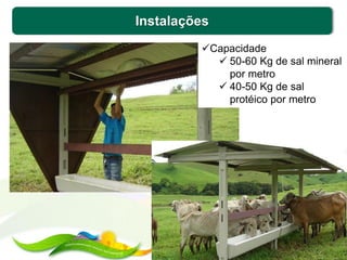 Instalações
Capacidade
 50-60 Kg de sal mineral
por metro
 40-50 Kg de sal
protéico por metro
 