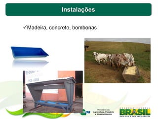 Instalações
Madeira, concreto, bombonas
 