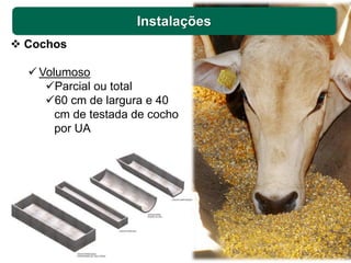 Instalações
 Cochos
 Volumoso
Parcial ou total
60 cm de largura e 40
cm de testada de cocho
por UA
 