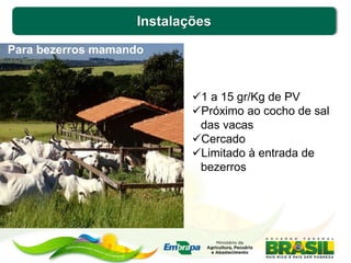 Instalações
1 a 15 gr/Kg de PV
Próximo ao cocho de sal
das vacas
Cercado
Limitado à entrada de
bezerros
Para bezerros mamando
 