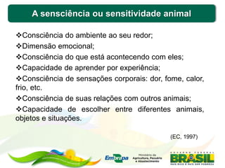 A sensciência ou sensitividade animal
Consciência do ambiente ao seu redor;
Dimensão emocional;
Consciência do que está acontecendo com eles;
Capacidade de aprender por experiência;
Consciência de sensações corporais: dor, fome, calor,
frio, etc.
Consciência de suas relações com outros animais;
Capacidade de escolher entre diferentes animais,
objetos e situações.
(EC, 1997)
 