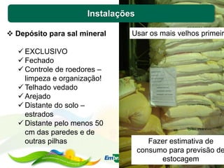Instalações
 Depósito para sal mineral
 EXCLUSIVO
 Fechado
 Controle de roedores –
limpeza e organização!
 Telhado vedado
 Arejado
 Distante do solo –
estrados
 Distante pelo menos 50
cm das paredes e de
outras pilhas
Usar os mais velhos primeir
Fazer estimativa de
consumo para previsão de
estocagem
 