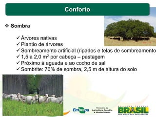 Conforto
 Sombra
 Árvores nativas
 Plantio de árvores
 Sombreamento artificial (ripados e telas de sombreamento
 1,5 a 2,0 m2 por cabeça – pastagem
 Próximo à aguada e ao cocho de sal
 Sombrite: 70% de sombra, 2,5 m de altura do solo
 
