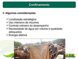 Confinamento
 Algumas considerações
 Localização estratégica
 Uso intensivo de insumos
 Controle rotineiro do desempenho
 Necessidade de água em volume e qualidade
adequados
 Energia elétrica
 