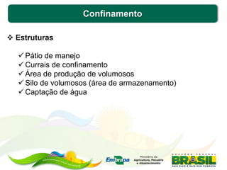Confinamento
 Estruturas
 Pátio de manejo
 Currais de confinamento
 Área de produção de volumosos
 Silo de volumosos (área de armazenamento)
 Captação de água
 