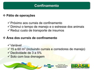 Confinamento
 Pátio de operações
 Próximo aos currais de confinamento
 Diminui o tempo de manejo e o estresse dos animais
 Reduz custo de transporte de insumos
 Área dos currais de confinamento
 Variável
 15 a 60 m2 (incluindo currais e corredores de manejo)
 Declividade de 3 a 5%
 Solo com boa drenagem
 