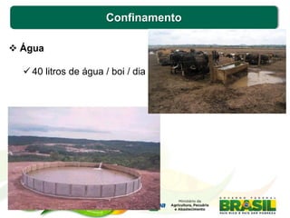 Confinamento
 Água
 40 litros de água / boi / dia
 